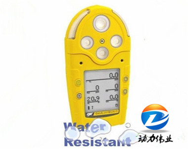 加拿大BW  GAMIC-5系列多功能氣體檢測儀.jpg